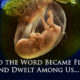 Jesus Was an Embryo. We Can’t Let Anyone Hurt His Brothers and Sisters